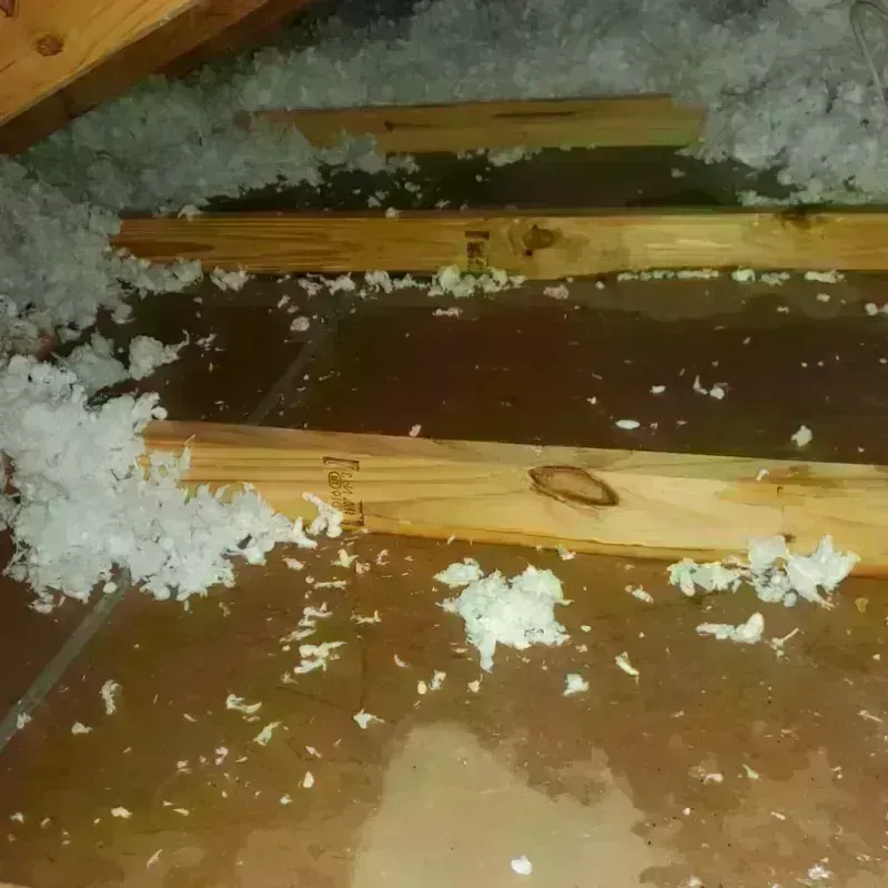 Attic Water Damage in Kidder County, ND