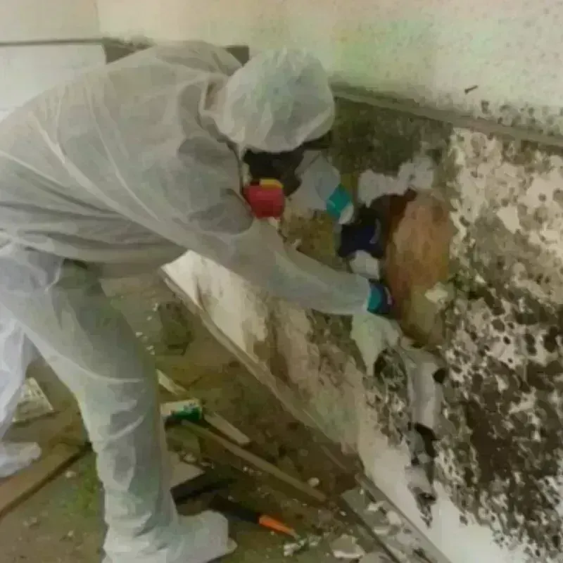 Mold Remediation and Removal in Kidder County, ND