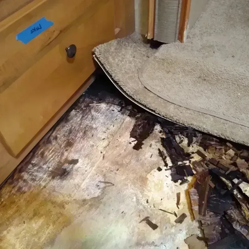 Best Wood Floor Water Damage Service in Kidder County, ND